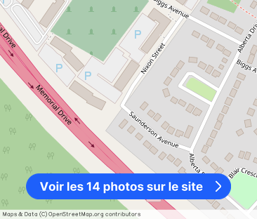 16 Saunderson - Photo 1