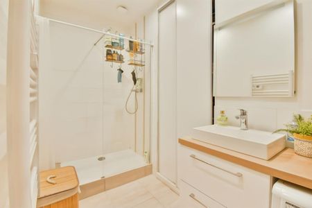 Location Appartement 2 pièces Meublé 41m² VALENCE 26000 - Photo 3