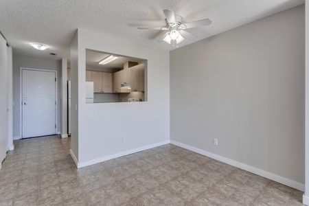 1 Bedroom - Photo 5