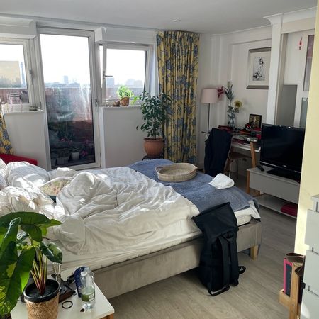 Room in a Shared Flat, St John's Wood Road, NW8 - Photo 4