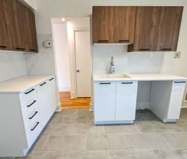 10653 Rue de Lille Montréal (Ahuntsic-Cartierville), QC H2B - Photo 6