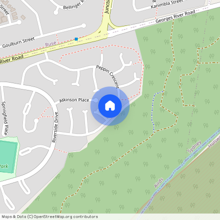 18 Peppin Crescent, NSW 2560, Airds