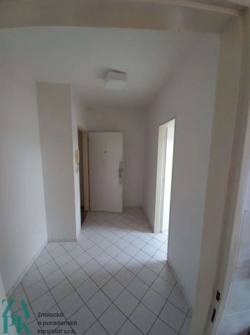 pronájem 1+kk, 46 m - Fotografie 4