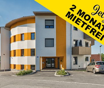 Junges Wohnen in Hoheneich - Photo 2