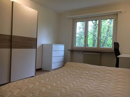 Simon #3 - Experience 60's Charm in Zürich's Green Oasis - Foto 2