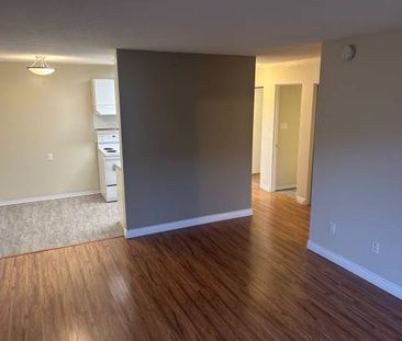 Large One Bed near Marpole Loop Available March 1st or earlier - Photo 2