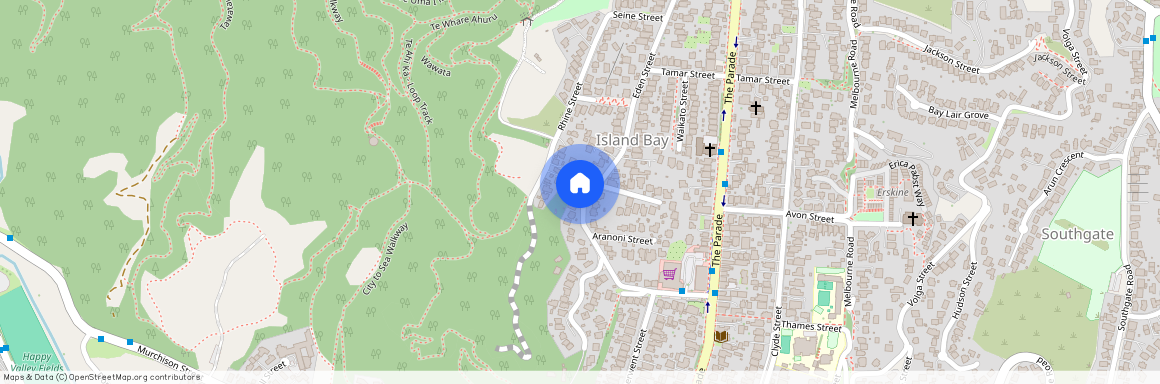 98 Eden Street, Island Bay, Wellington