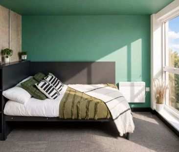 The Big Room - Photo 5