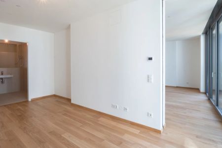 Exklusive 2-Zimmer Wohnung mit Balkon im 7. Stock beim Quartier Belvedere - Foto 4