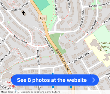 Dracaena Avenue, Falmouth - Photo 1