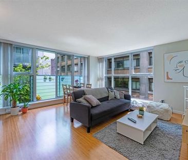 168 Powell St #501, Vancouver, BC V6A 0B2, Canada - Photo 6