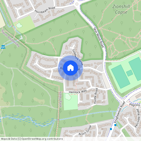 Blencowe Drive, Chandler's Ford, SO53