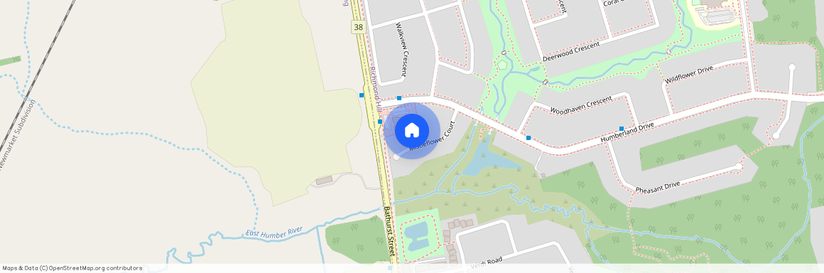 44 Mistleflower Court, Richmond Hill