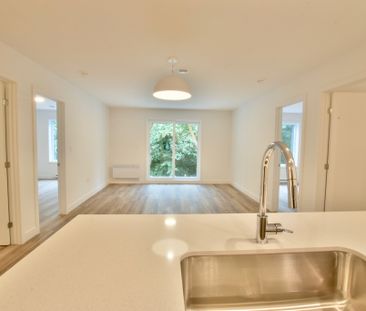 4 1/2 Avec Bureau Saint-Hyacinthe - Photo 3