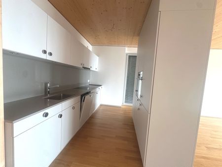 Your exclusive attic apartment above the rooftops of Winterthur! - Photo 4