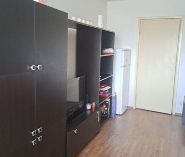 Drumul Taberei, Compozitorilor, Hanul Drumetului, proprietar - Photo 3