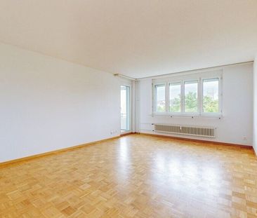 Recently renovated apartment - Photo 3