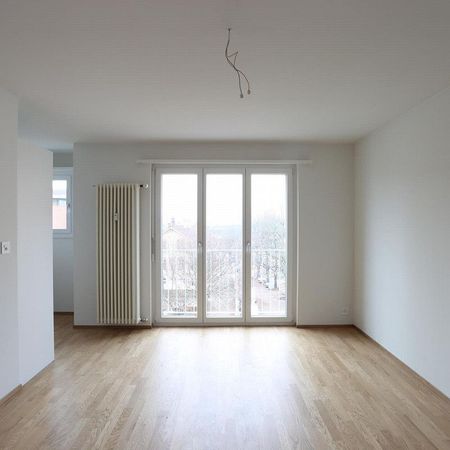 1.0 Room apartment in Basel - Photo 4