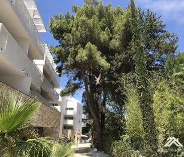 Location Appartement 1 pièce 28m² MONTPELLIER 34000 - Photo 3