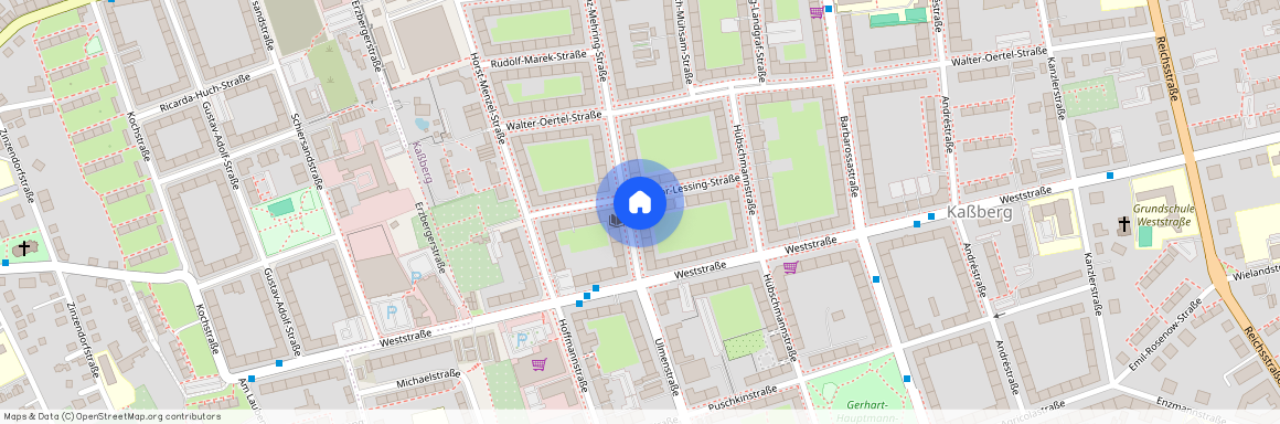 Franz-Mehring-Straße 8, 09112 Chemnitz