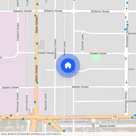 29A Tyler St, WA 6060, Joondanna