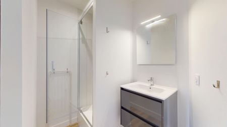 GINGUENE Colocation 3 chambres à Rennes - Photo 2