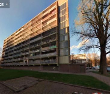Appartement de 3 pièces Oostervenne, Purmerend - À louer - Photo 6