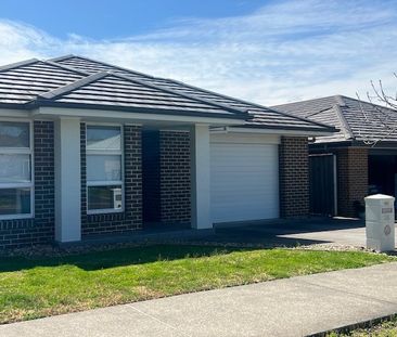 26 Wallis Avenue, Mittagong NSW 2575 - House For Rent | Domain - Photo 3