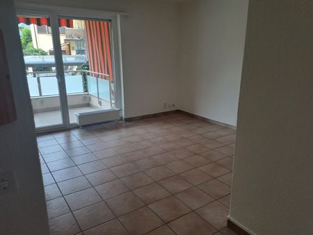 2.5 Zimmer, EG - Photo 5