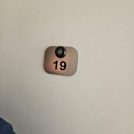 1 CH - 1 SDB - Montréal - $1,490 /mo - Photo 4