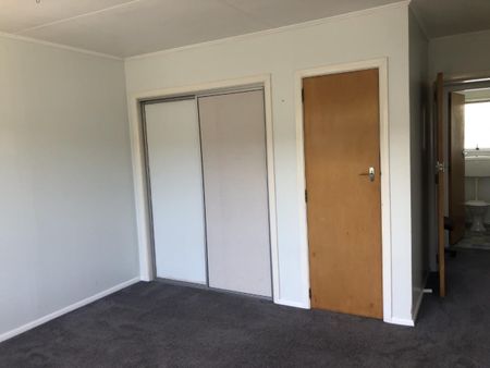 SUNNY FLAT IN TAHUNANUI - Photo 2