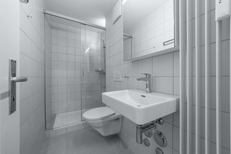 Single-Wohnung an der Lehenmattstrasse - Foto 3