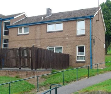 2 Bed Flat, Guildford Avenue, S2 - Photo 4