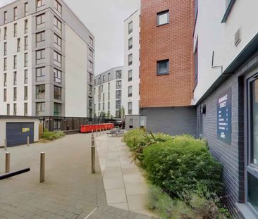 Studio Bronze - Photo 6