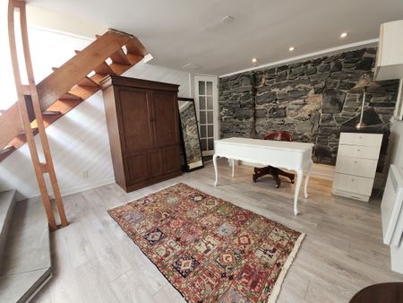 Appartement entièrement meublé d’une chambre sur 2 étages. - Photo 2