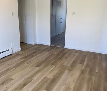 4 1/2 à louer à Longueuil (entièrement rénové) - Photo 2