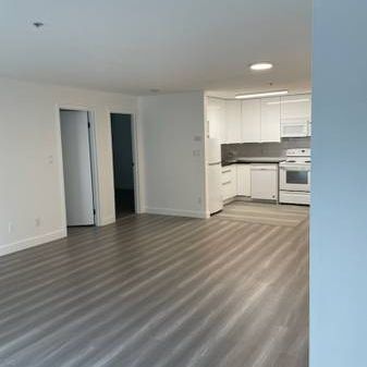 Large Renovated 2 Bedroom in Great location - Photo 3