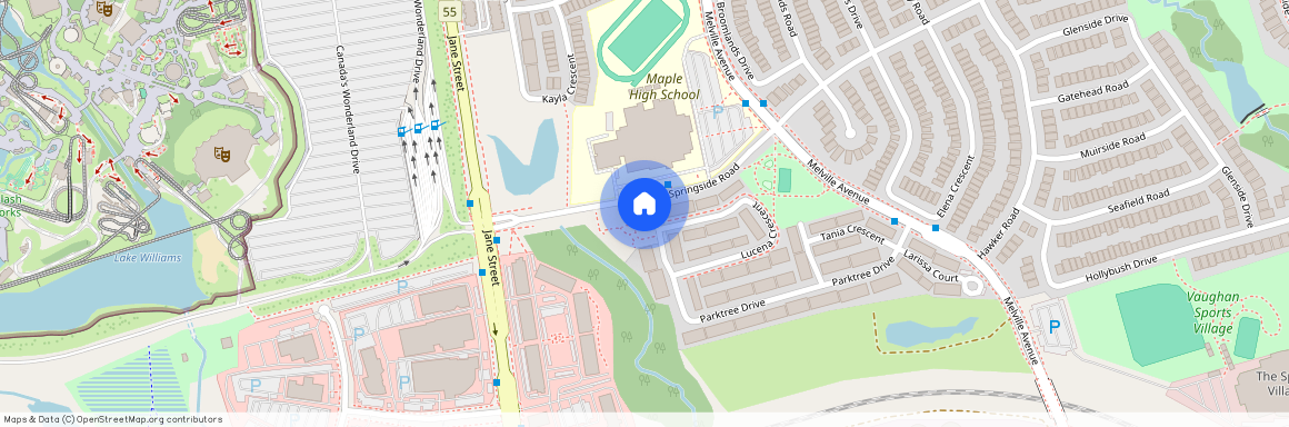 181 Parktree Drive - Basement, Vaughan