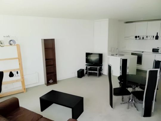 1 bedroom 1 bathroom - Photo 1