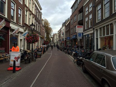 Te huur: knusse studentenkamer in het gezellige Utrecht - Foto 2