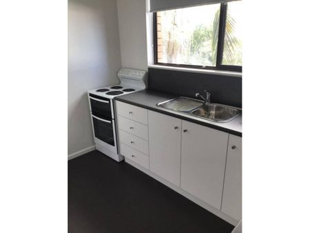 Renovated Two Bedroom Apartment - Photo 5