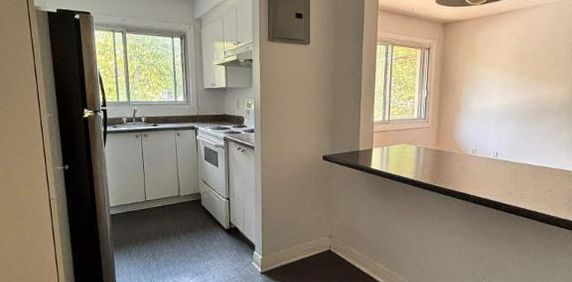 1 CH - 1 SDB - Montréal - $1,250 /mo - Photo 2