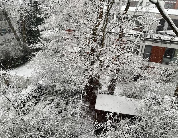 Biete Wohnung in Hamburg gegen Berlin - nur Tausch!! - Photo 1