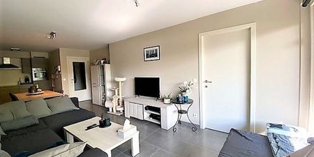 Appartement te huur in Hamme voor € 750 met 1 slaapkamer - Photo 2