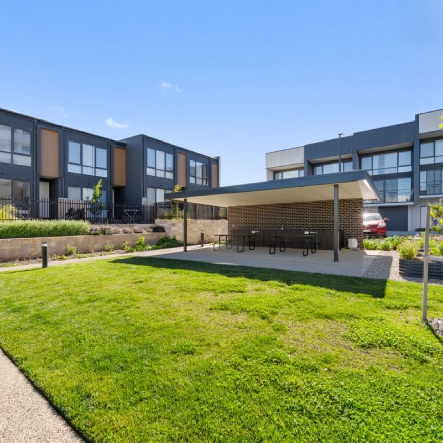 45/21 Holborow Avenue, Denman Prospect ACT 2611 - Apartment For Rent | Domain - Photo 1