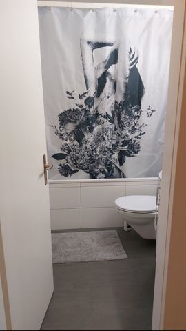 2.5 Zimmer, 52 m², 5. Stock - Foto 5