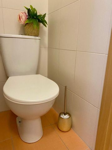 Pronájem bytu • 30 m² bez realitkyJanského, Olomouc - Povel, Olomoucký kraj - Fotografie 5