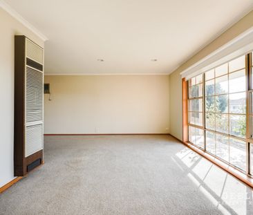 17 Rowe St Hamlyn Heights - Photo 1