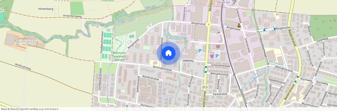 4106, Therwil, Alemannenstrasse, 8