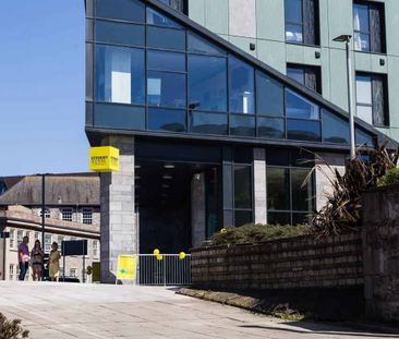 Classic Studio - Photo 6